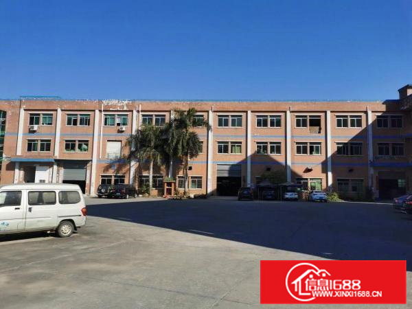 寮步镇村委独院标准厂房招租可分租工业用地空地大一楼6米高