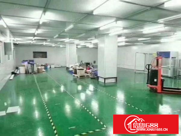 宝安区福永塘尾，无尘车间，实际面积出租，2200平方接受分租