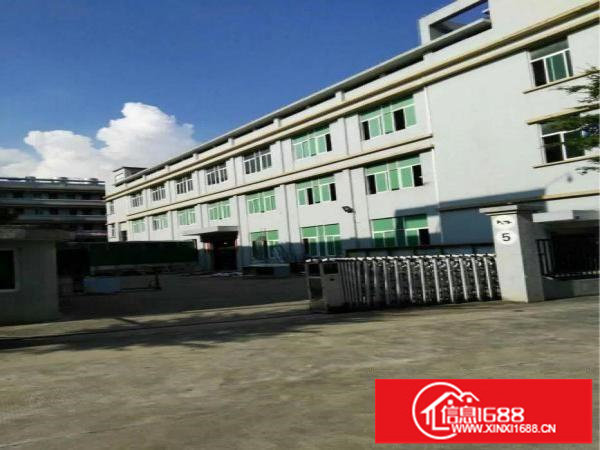 横岗原房东独院带红本6500平米出租