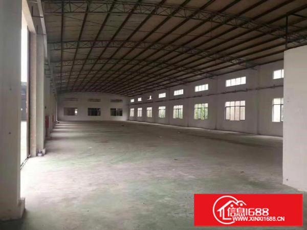 这么漂亮干净哪里找！单一层砖墙到顶钢结构1000平，滴水8米