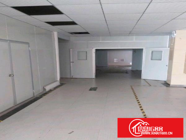 出租375平方精装修无尘车间，无公摊，深圳过来第一个红绿灯，
