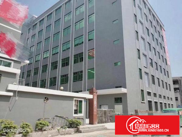 黄江社贝一楼700平精装可分租