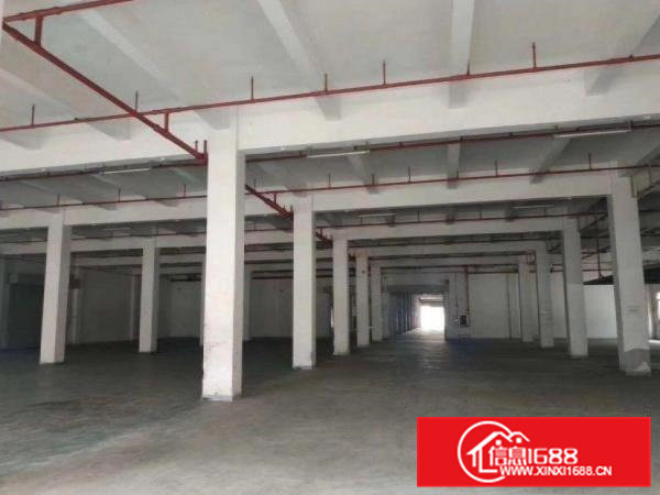 田坑标准厂房一楼1200平，形象好