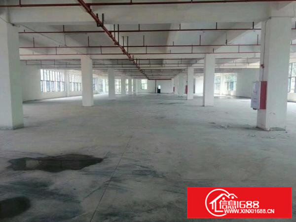 大岭山厚大路独院厂房1300平米