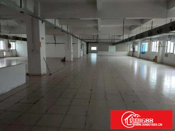 低价独门独院厂房出租