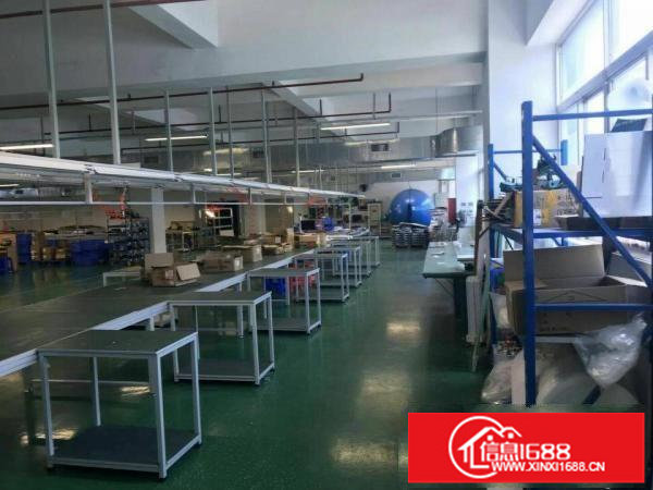 龙岗独院厂房3600平方出租有电子厂装修