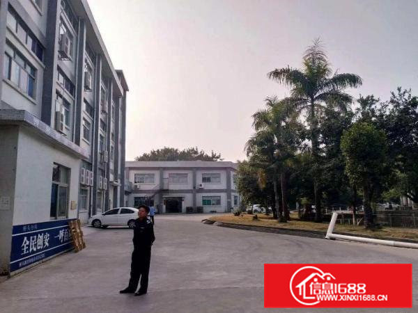 金凤凰原房东一楼1800平米可分租