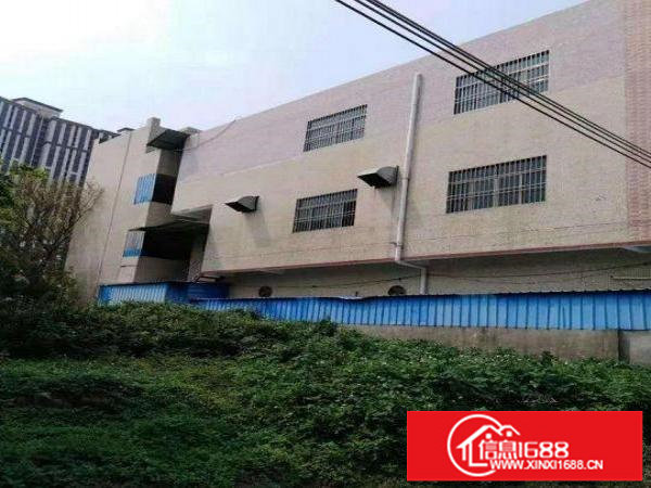 龙岗独栋3层厂房出租1500平方可分租