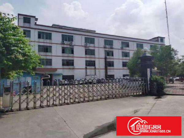 高埗花园式标准厂房一二楼各1200平方出租，新刷地坪漆