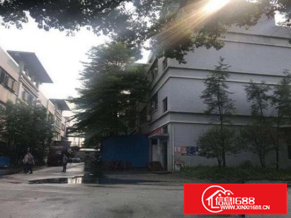 原房东直租实际面积23000平，形象好，价格优，空地大