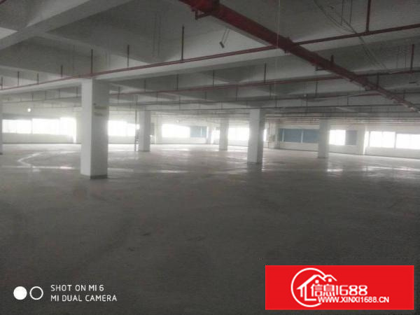 潼侨新出标准花园式独院12000平配独立办公楼