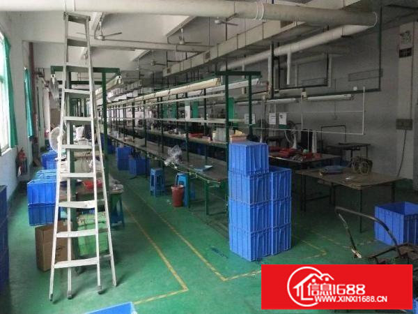 独家独家原房东厂房1600平出租有简单装修赠送使用