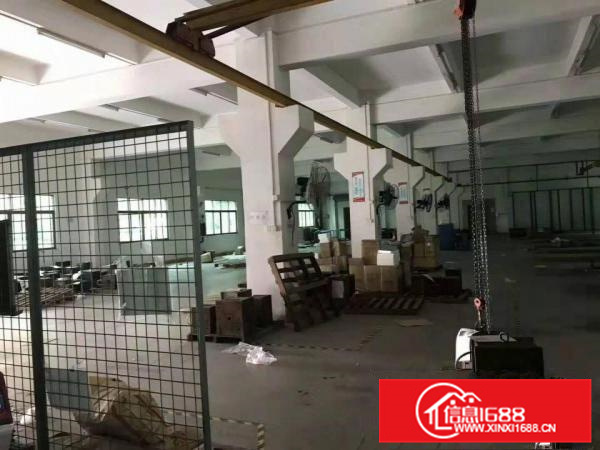 潼湖新空出独院三层标准厂房！带红本！大小可分租！