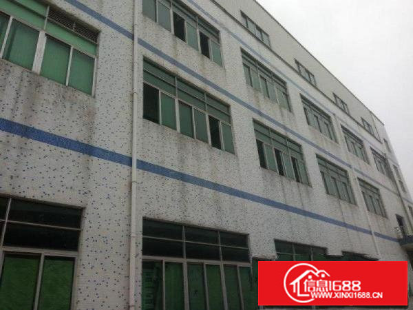 龙岗原房东一楼360平出租