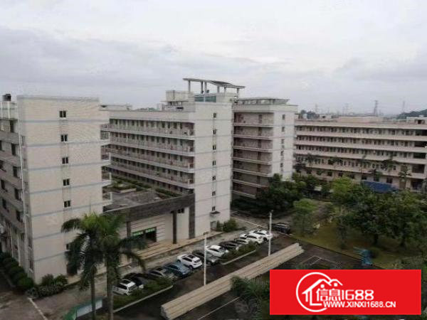 常平新出双证件独门独院厂房,现成高台卸货平台无尘车间,可分租