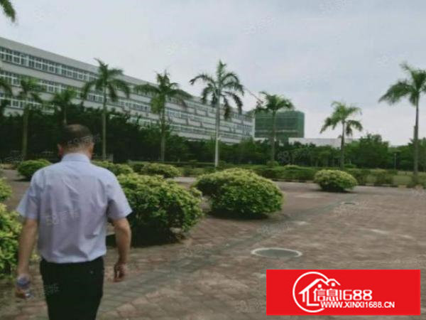 龙岗坪地高速路口原房东独栋18000平大小分租