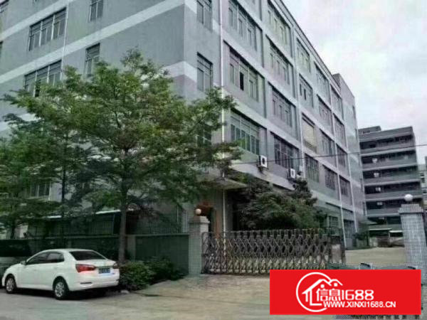 东坑角社新出原房东分租2楼800平无公摊12块