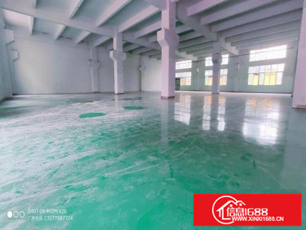 金凤凰一楼带牛角1100平方全新地坪漆适合所有行业