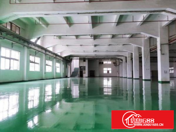 清溪原房东标准12200平全新地坪漆带喷淋水电齐全