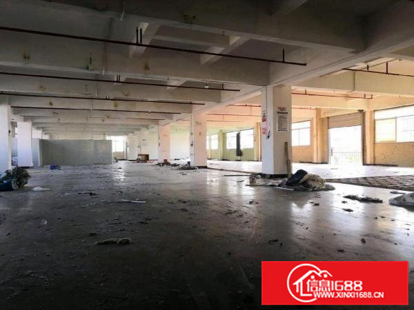 庙边王工业区一楼厂房出租1000平方