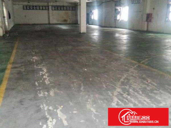 经典小独院厂房总面积1400