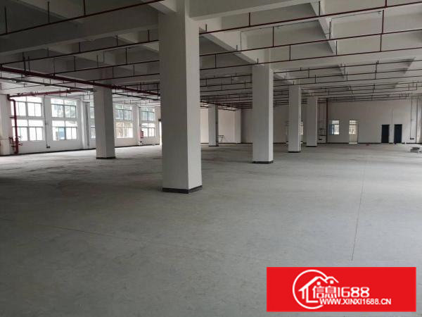 横沥新出村委全新厂房8层1万平方大小可以分