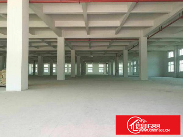成熟工业区分租一楼1400平方，6米高，带牛角
