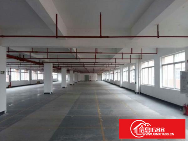 孙屋工业区出租标准厂房楼上1300平