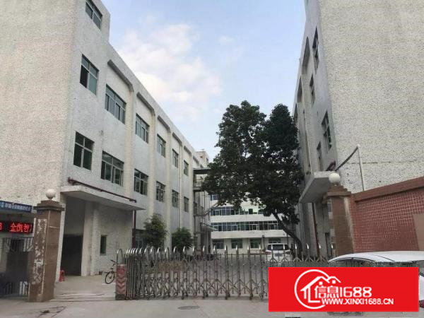 独院独栋厂房出租3350平方