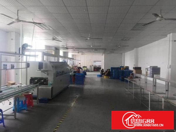 大浪华兴路边原房东3楼900平带装修