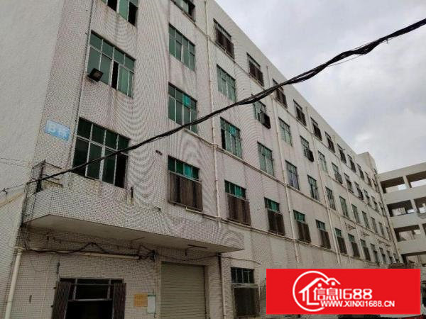 出租龙岗区横岗厂房免中介费