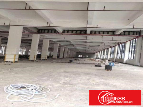 布吉木棉湾新出园区500;1000;1500平可大小分租