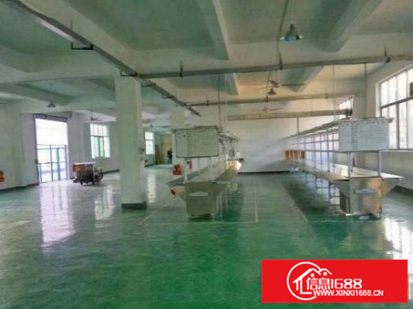 福永和平工业新房源！空出3楼整层550平方厂房.人气旺