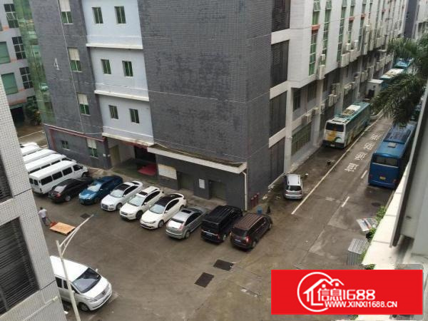 吉华路边带装修办公楼厂房出租实图拍摄