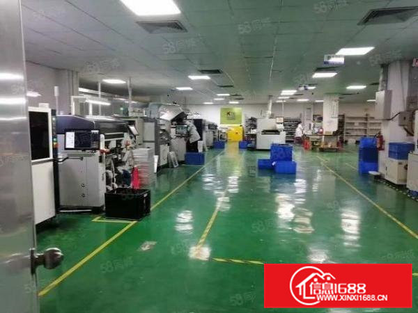 大岭山工业区新空出花园式厂房一楼1000平可整租可分租