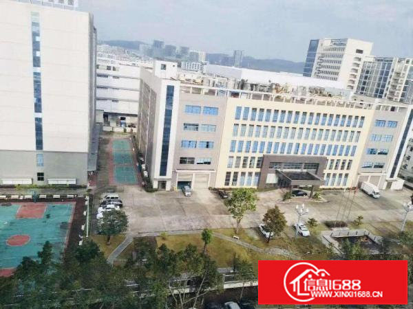 横岗六约十万平方红本大型产业园隆重招租