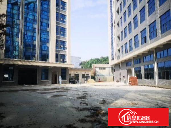 横沥镇新出带无尘车间600平方精装修实际面积出租可做创库