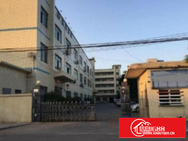 工业区标准一楼1000平方招租水电齐全