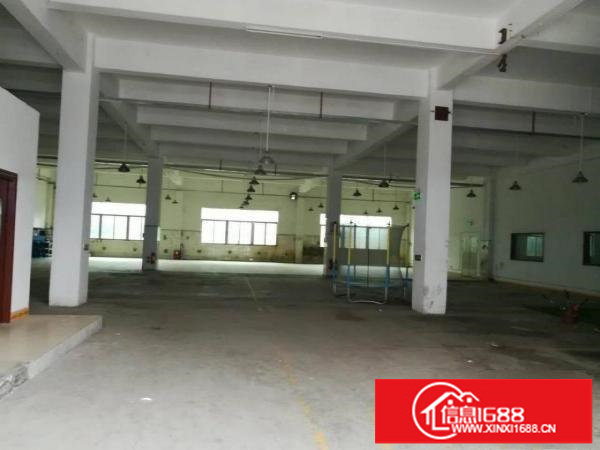 布吉丹竹头，3850平原房东厂房招租