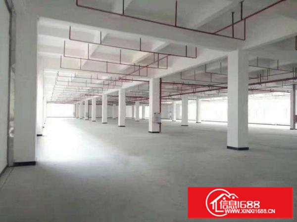 出租惠阳新墟全新独院厂房1-3层4500平方米