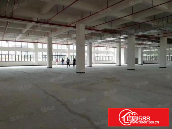 塘厦镇全新独门独院12000平方独门独院高薪企业厂房招租