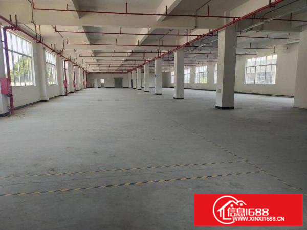 现成装修单层面积1000平方