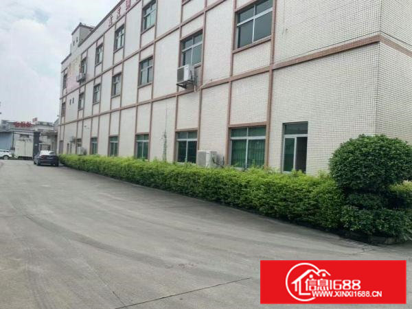 高埗标准一楼厂房1300平方米出租现成水电，消防齐全，交通方