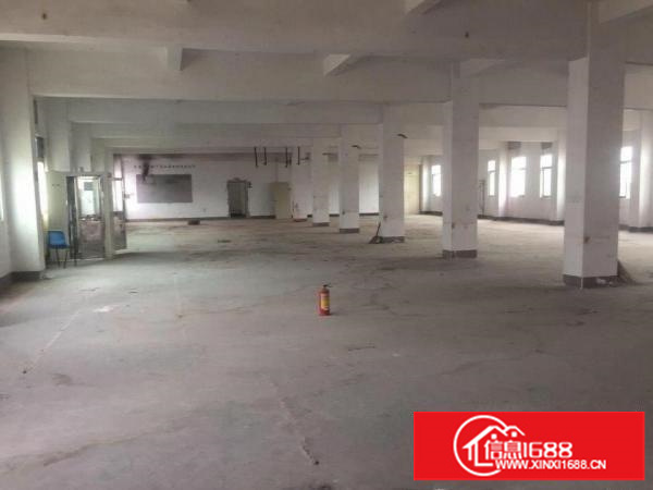 坪山新区石井新出700平楼上带装修