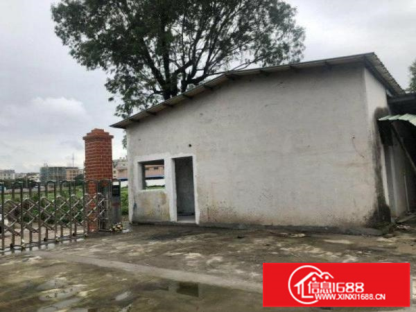 石湾正规油墨证件厂房出租2000方，300方起分租