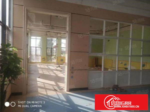 高埗新出绝世靓盘，标准独院厂房可商可工