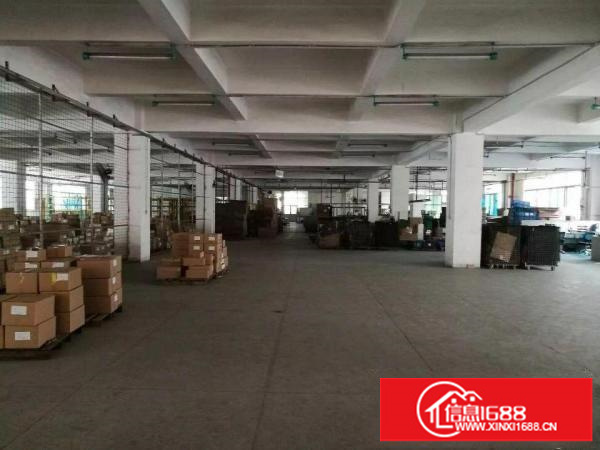 观澜人民路有轨电车旁大型工业区四楼3680平出租