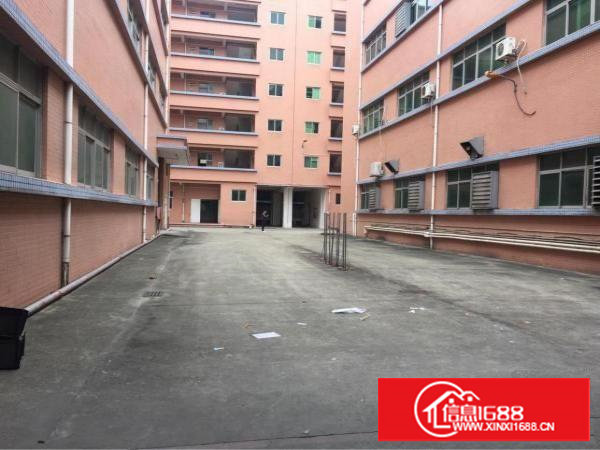 塘厦沙湖独院标准厂房大屏出口1公里观澜桂花5分钟