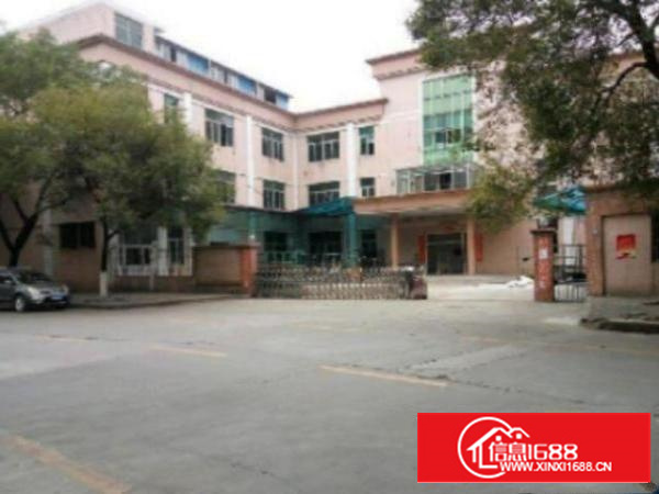 万江标准一楼800平方带装修带办公室出租水电消防齐全