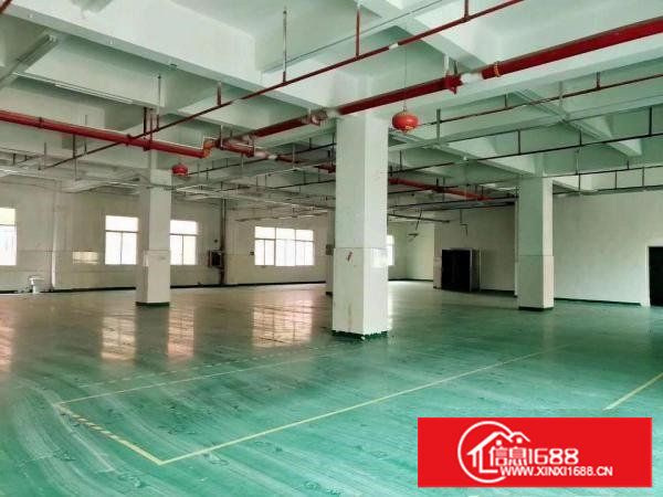 长安锦厦新出原房东楼上850平厂房招租